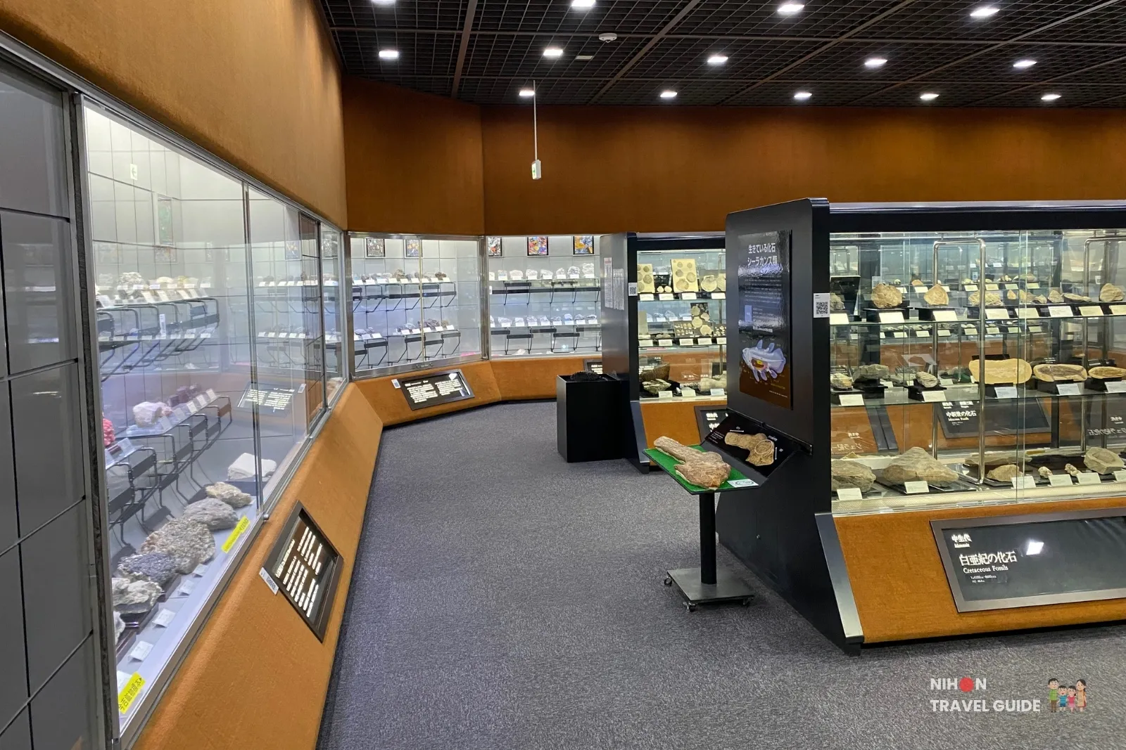 Interior view of Exhibition Room 4 at the Tsukuba Geological Museum, featuring curved glass cases filled with rocks, minerals, and Cretaceous fossils along a carpeted walkway.