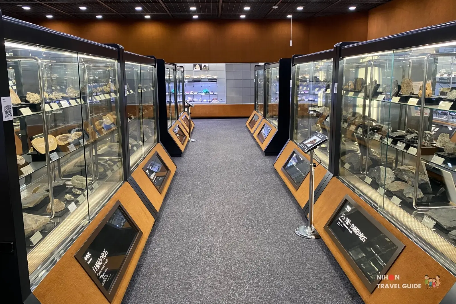 tsukuba-geological-museum-exhibition-room-4-rocks-minerals-fossils Wide view of Exhibition Room 4 at the Tsukuba Geological Museum, showing long glass display cases filled with systematically arranged rocks, minerals, and fossils, including Cretaceous and Jurassic-Cretaceous specimens along a carpeted aisle.