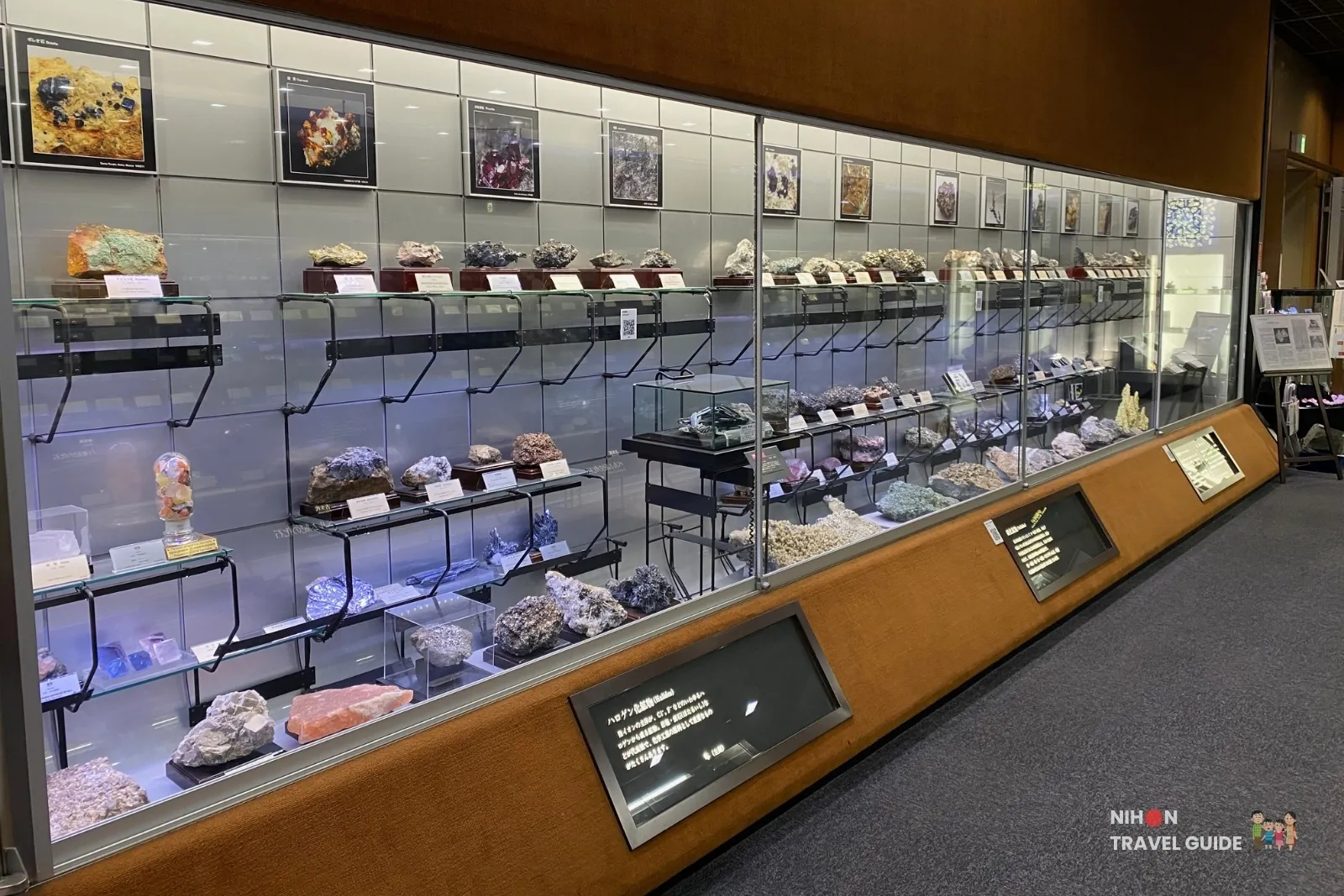 Long systematic mineral display wall in Exhibition Room 4 at the Tsukuba Geological Museum, showing hundreds of neatly arranged mineral specimens under glass with labels and photos above.
