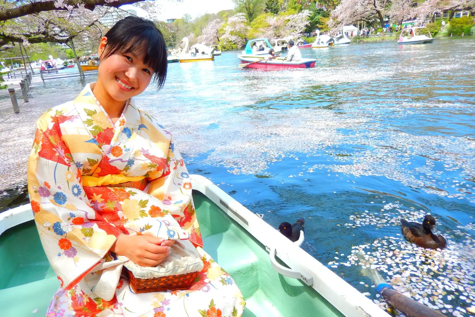 Hikari sits in a rowboat in a colorful floral kimono, smiling, with cherry blossom petals on the water, ducks alongside the boat, and swan boats in the background.